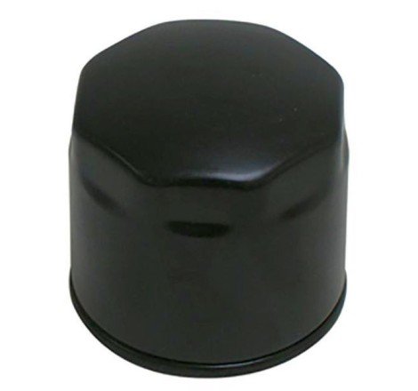 FILTRO OLIO LOMBARDINI...