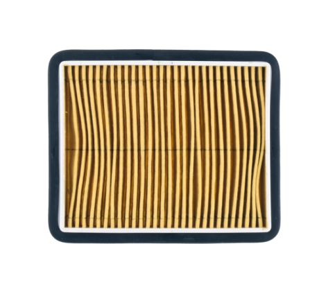 FILTRO ARIA RMS LML STAR...