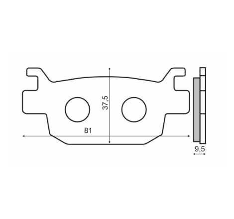 PASTIGLIE RMS FA415 (68321)