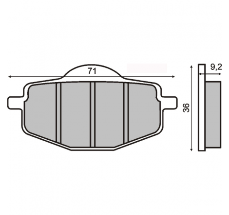 PASTIGLIE RMS FA101 (65750)