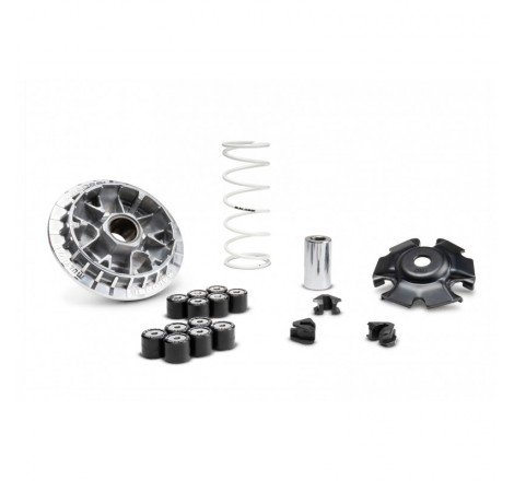 VARIATORE MALOSSI HONDA SH...