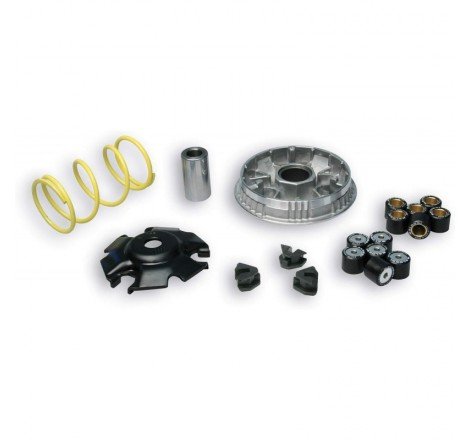 VARIATORE MALOSSI HONDA SH...