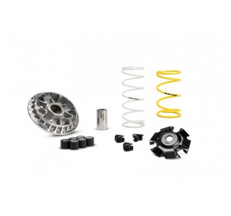 VARIATORE MALOSSI HONDA SH...