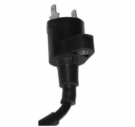 BOBINA PEUGEOT / HONDA BALI...