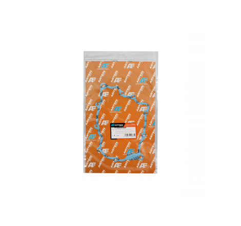 GUARN. COPERCHIO STATORE...