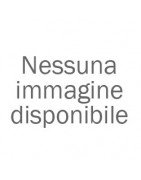 PIGNONE